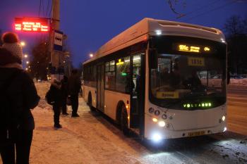 img 1025 1 polosa 0 350x233 1