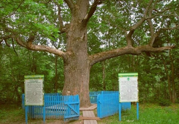 photo 2023 11 23 09 13 54