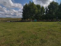 photo 2025 10 17 08 31 56