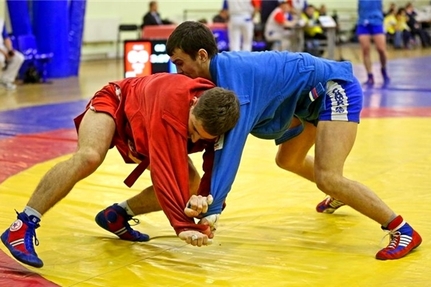 Самбисты республики успешно выступают на чемпионате и первенстве Поволжья