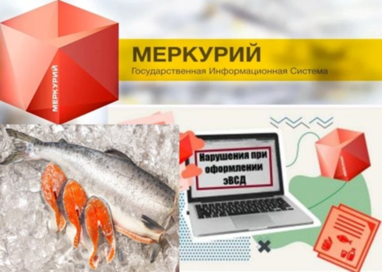 Меркурий рыба
