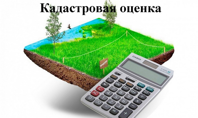 кадоценка.jpg